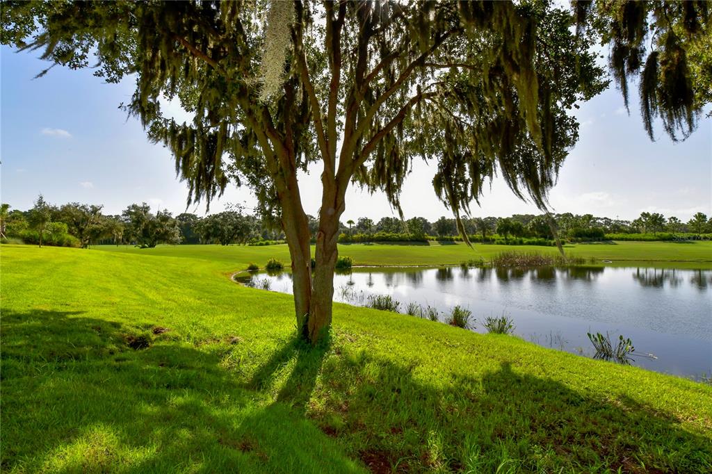 13732 Messina Loop, Unit 201 Bradenton, FL 34211 - Photo 42 of 76