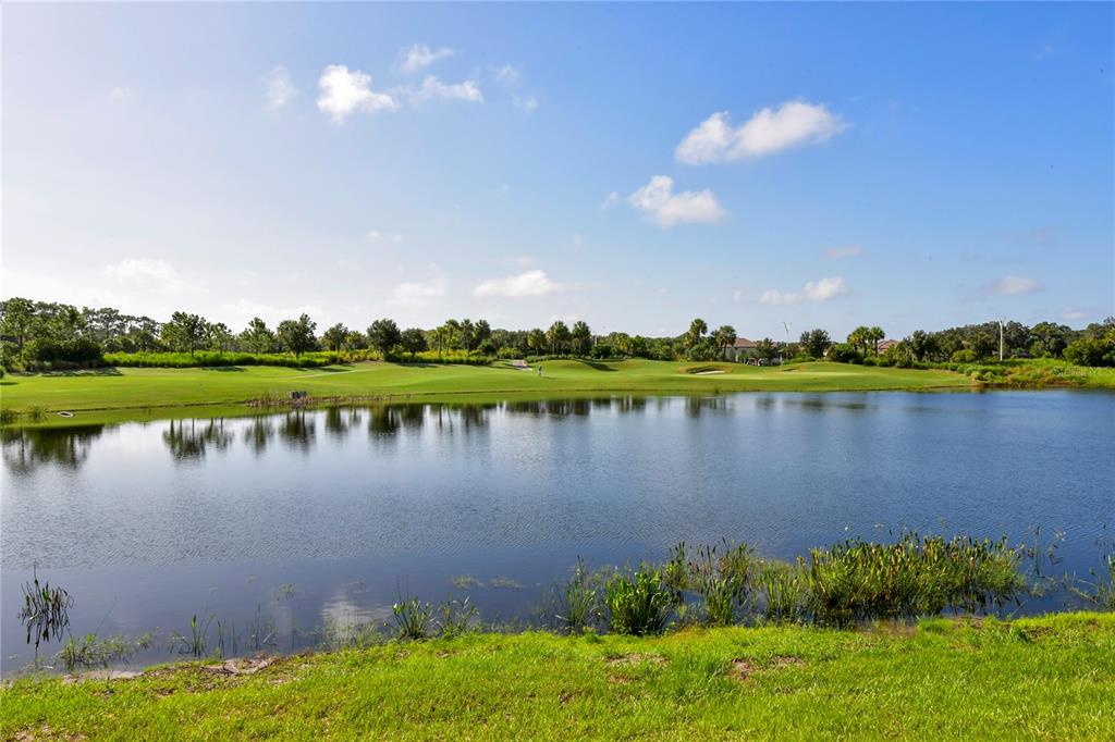 13732 Messina Loop, Unit 201 Bradenton, FL 34211 - Photo 43 of 76