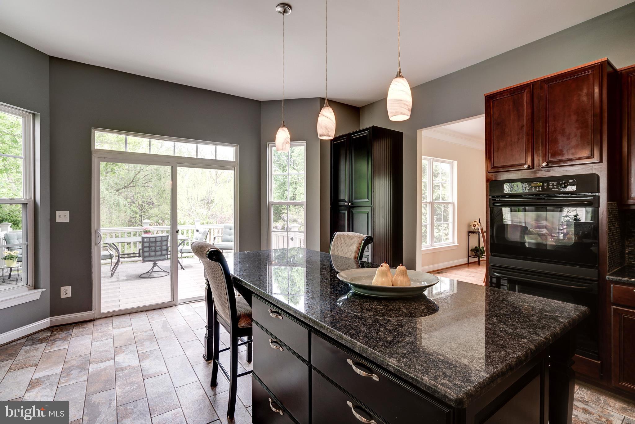 9101 Roaring Spring Loop Bristow, VA 20136 - Photo 20 of 74 Gallery Image 20