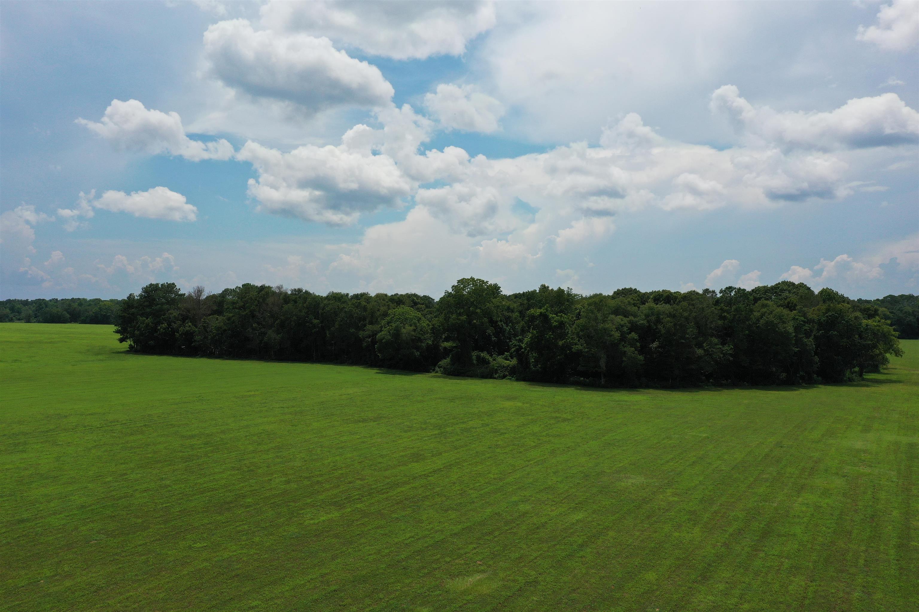 Xx Xx Max Herrin Road Quincy, FL 32352 - Photo 23 of 46