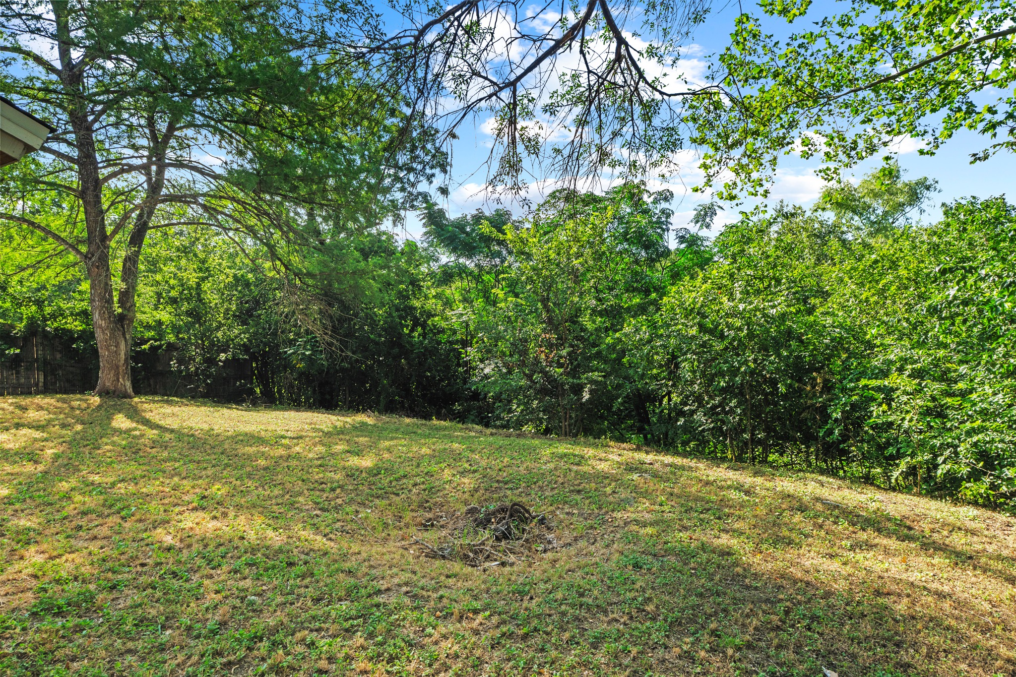 11811 Rotherham Drive Austin, TX 78754 - Photo 30 of 37 A spacious yard with mature trees and a dense tree line offers privacy and natural beauty.