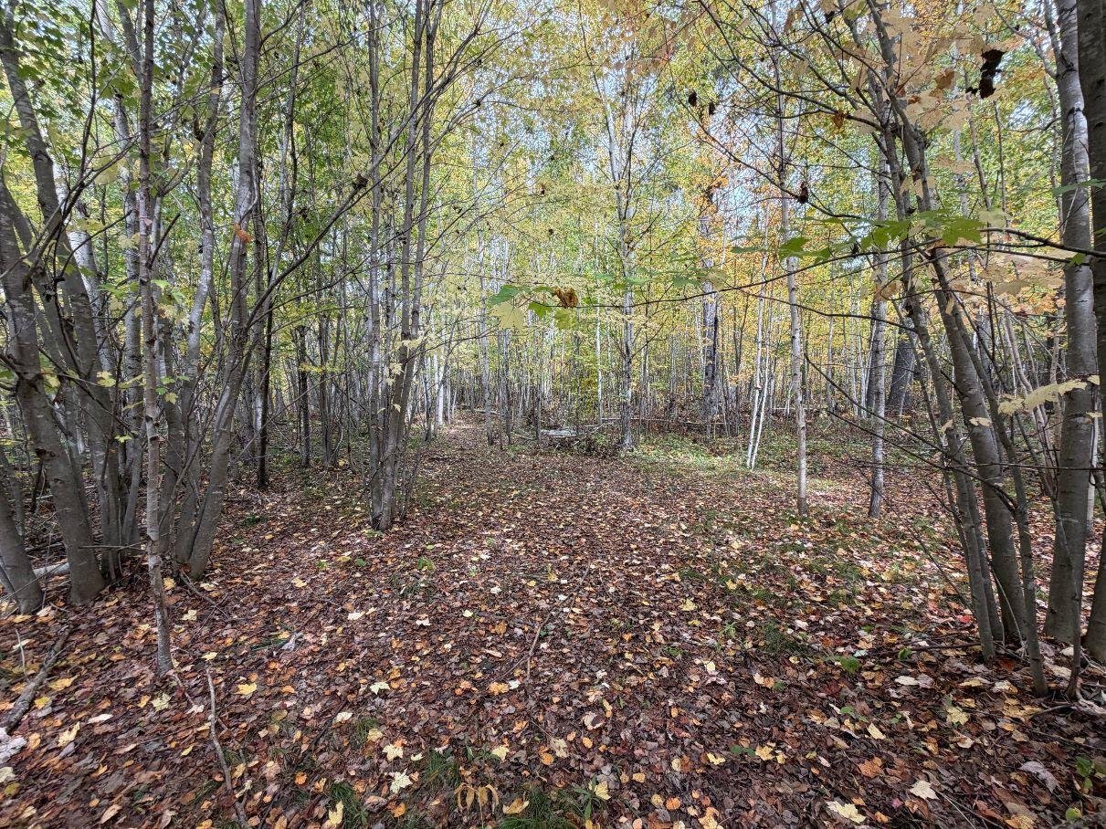 Tbd Estates Range Road Kerrick, MN 55756 - Photo 17 of 29 Gallery Image 17