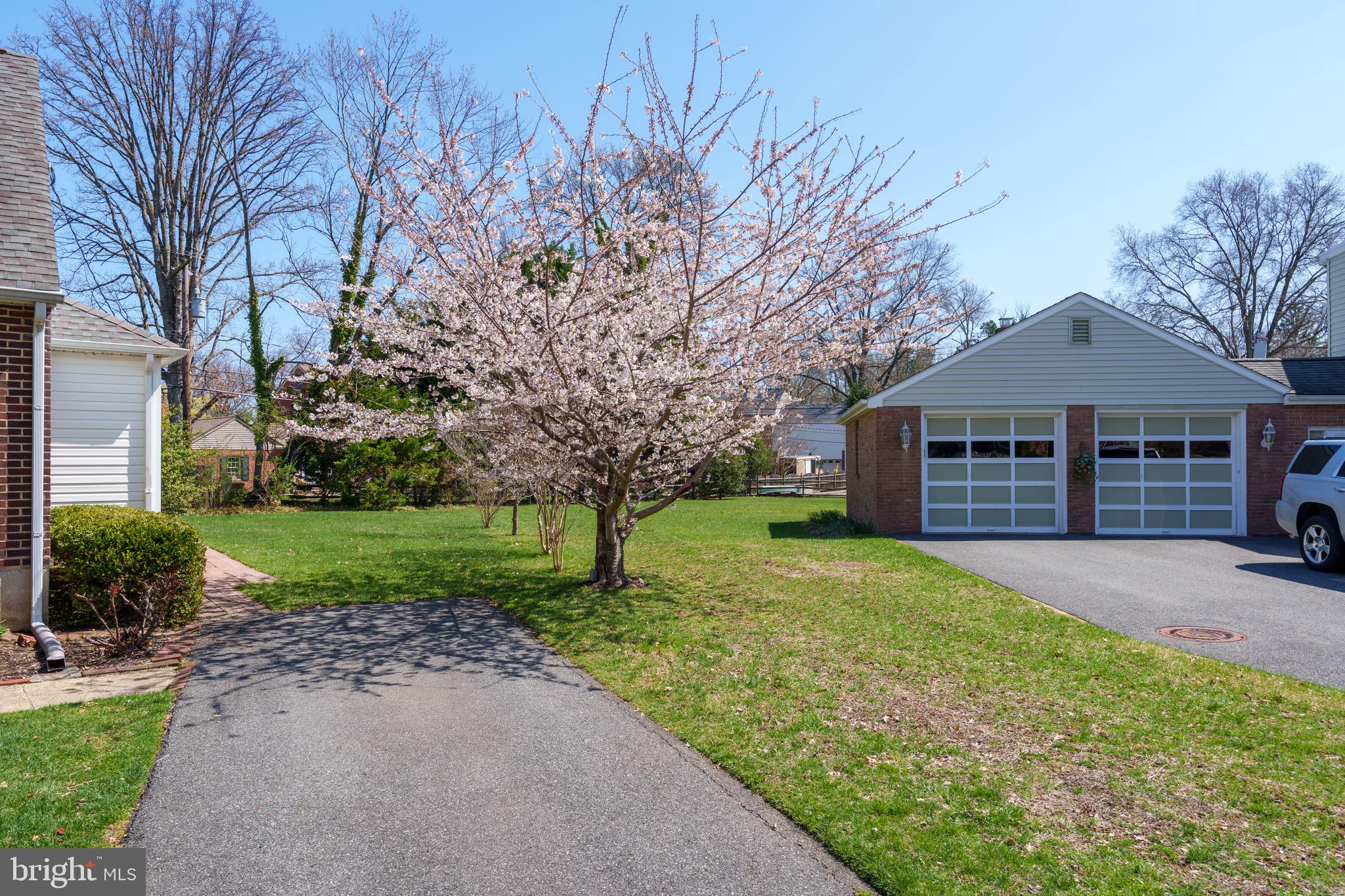 121 Devonshire Road Wilmington, DE 19803 - Photo 4 of 31 a front view of a house with a garden and trees