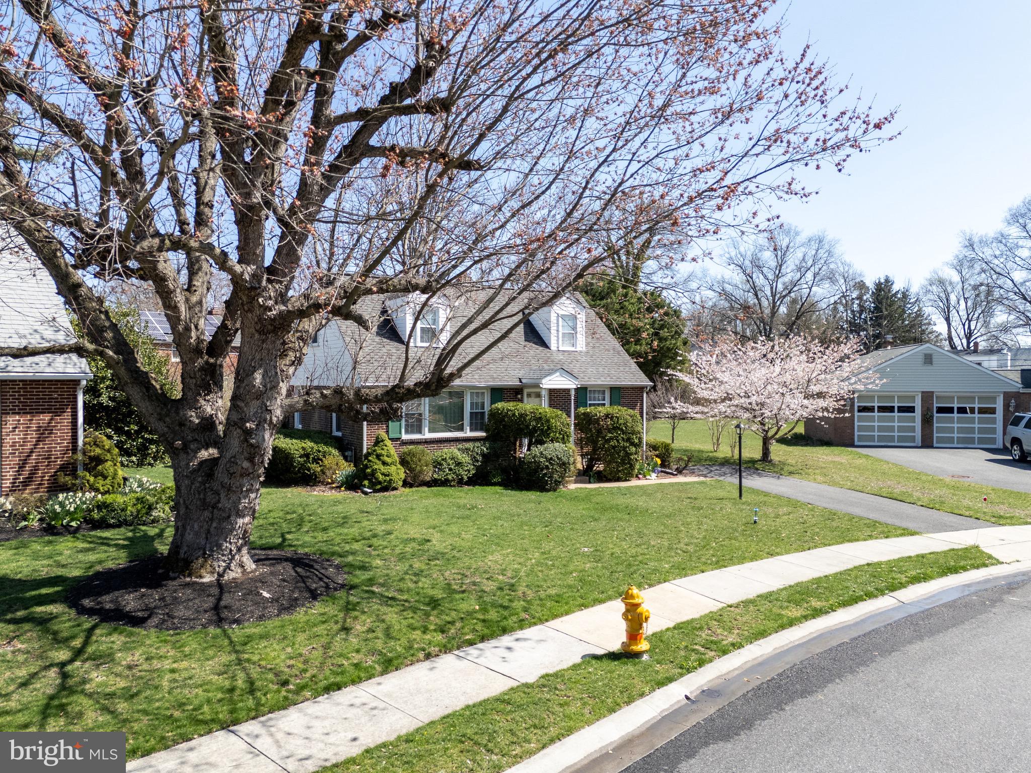 121 Devonshire Road Wilmington, DE 19803 - Photo 9 of 31 a view of a house with a big yard and large tree