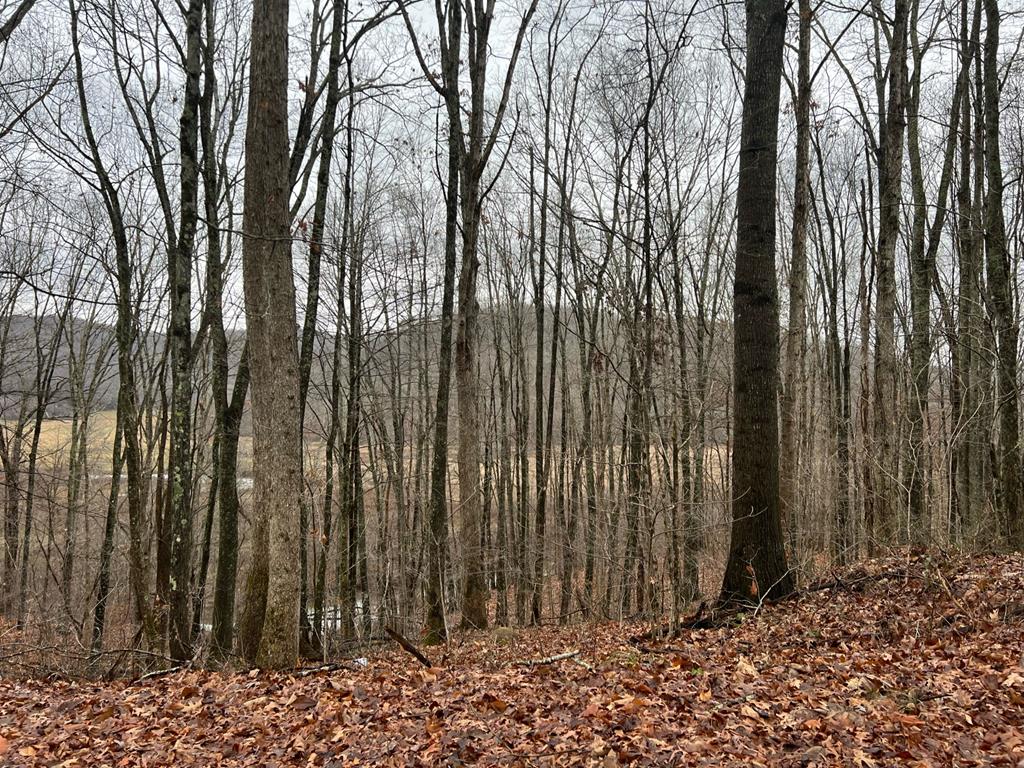 0 Wildcat Hill Road Ireland, WV 26376 - Photo 1 of 36 Gallery Image 1