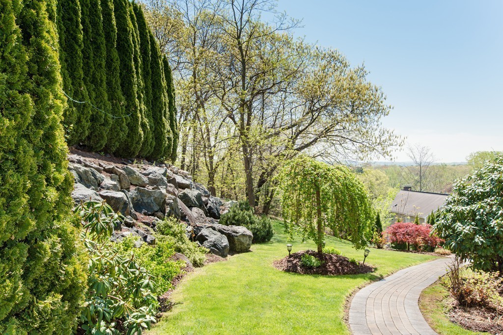 129 Raffaele Drive Waltham, MA 02452 - Photo 3 of 20 a view of a backyard with plants and a garden