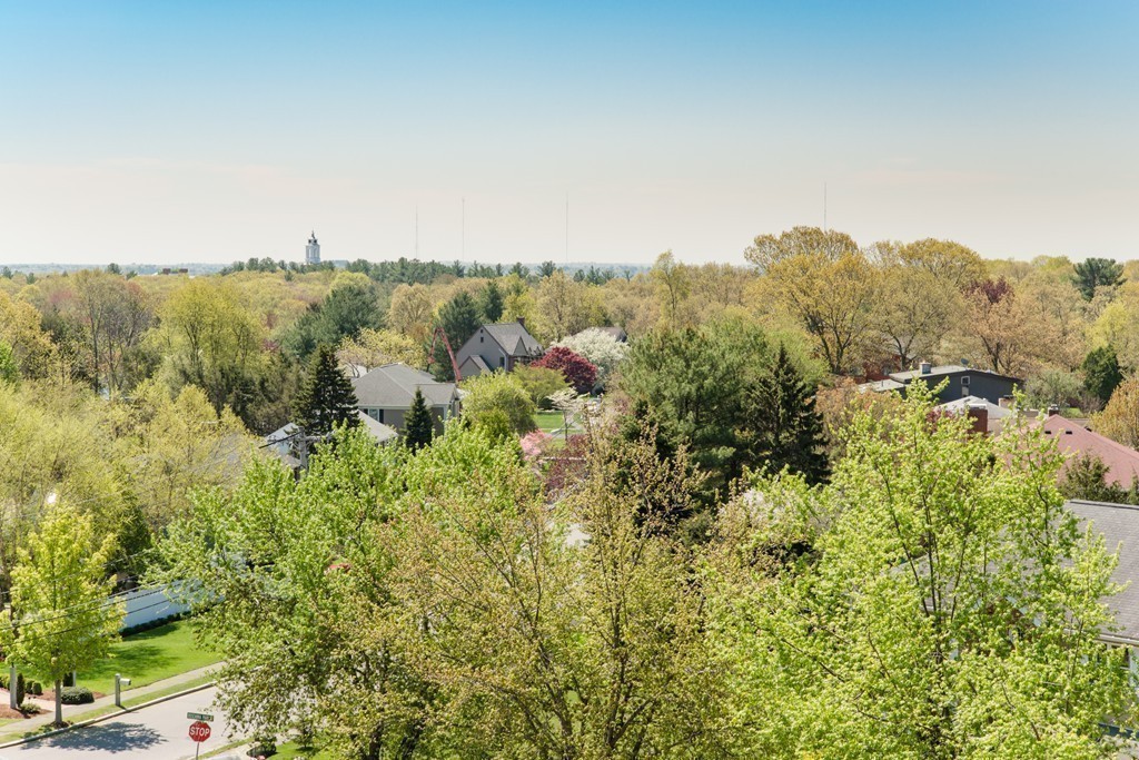 129 Raffaele Drive Waltham, MA 02452 - Photo 7 of 20 a view of a green field