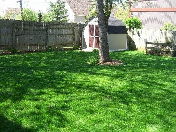 871 North Maple Road Ann Arbor, MI 48103 - Photo 20 of 25 Photo 20