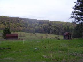 6052 Brackel Road Cincinnatus, NY 13040 - Photo 4 of 4 Gallery Image 4
