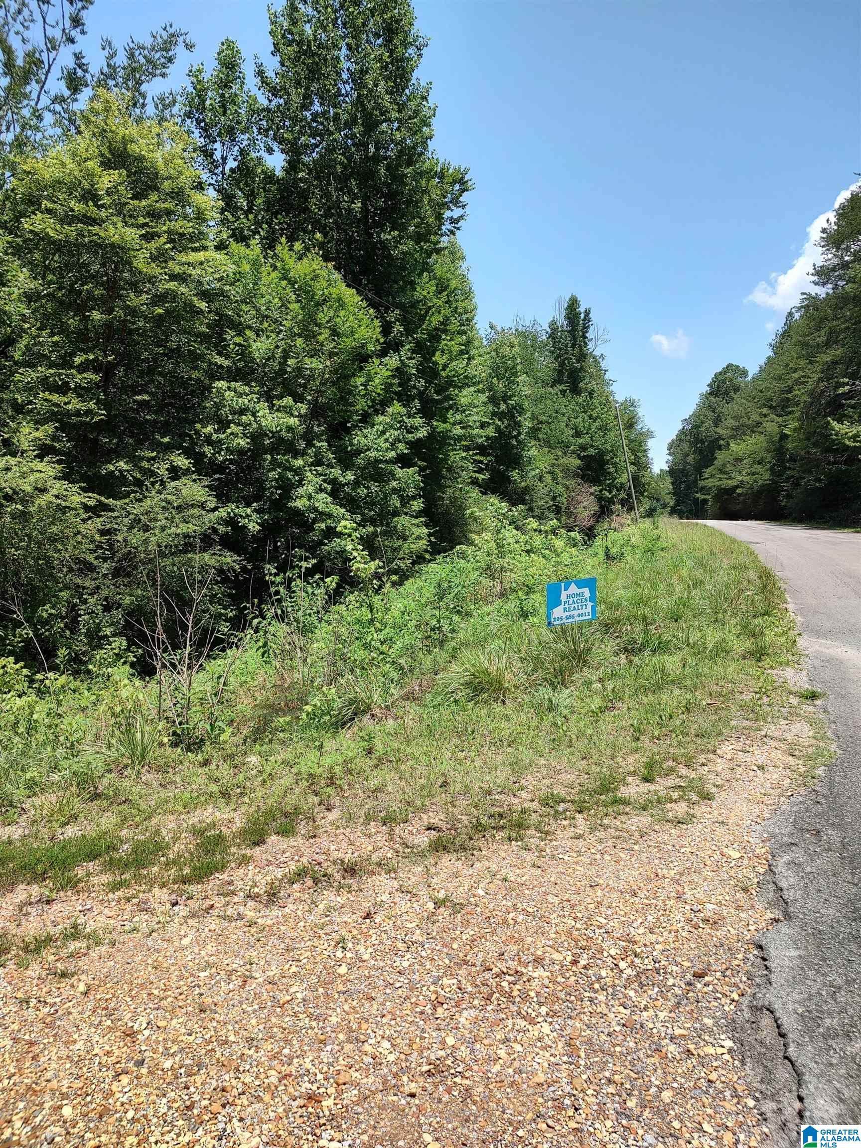 Wolf Creek Road Townley, AL 35587 - Photo 6 of 6