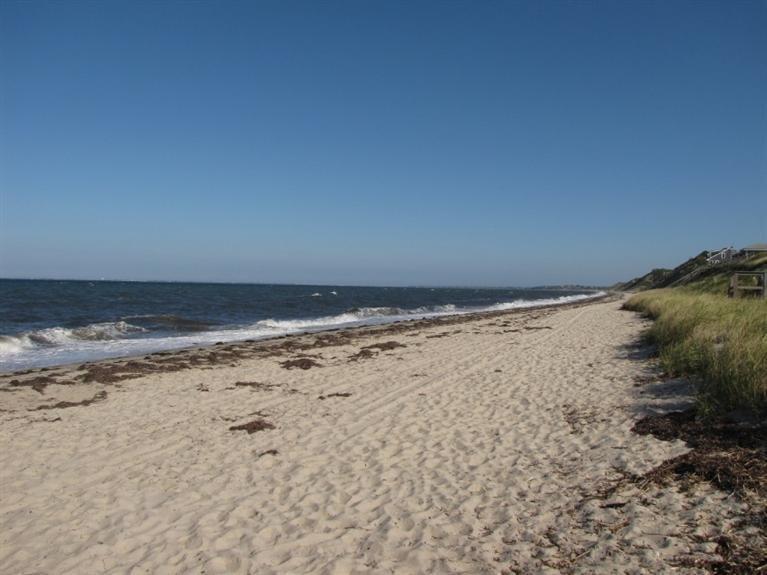 a view of beach and ocean