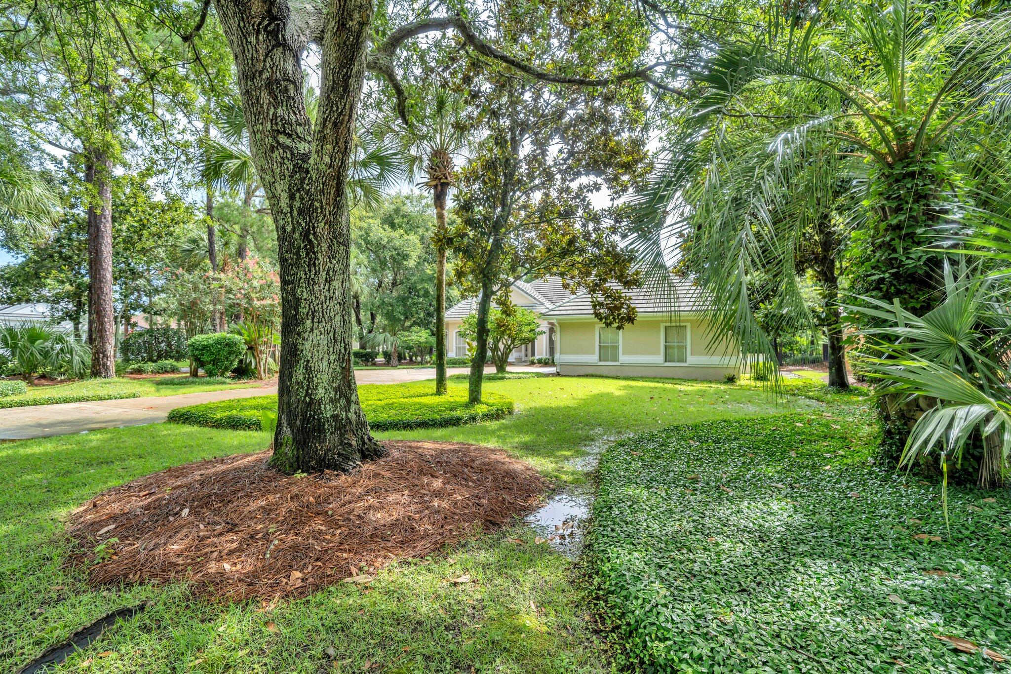 423 Maritime Court Destin, FL 32541 - Photo 39 of 39 a view of a park with a tree