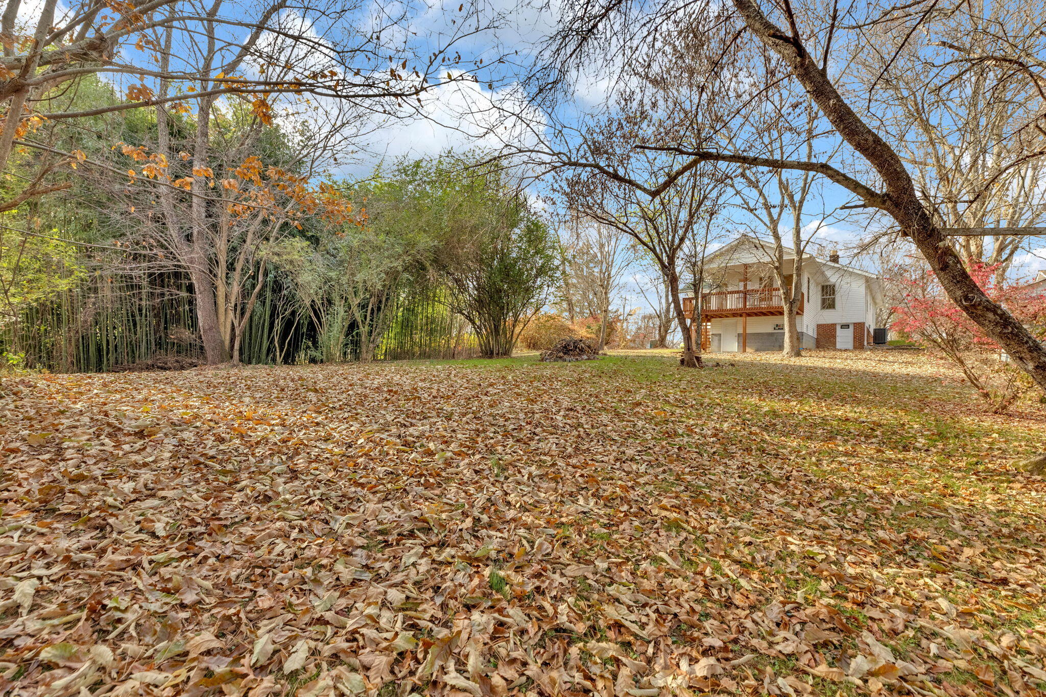 3407 McKinley Road Johnson City, TN 37604 - Photo 28 of 31 7-web-or-mls-217A1125