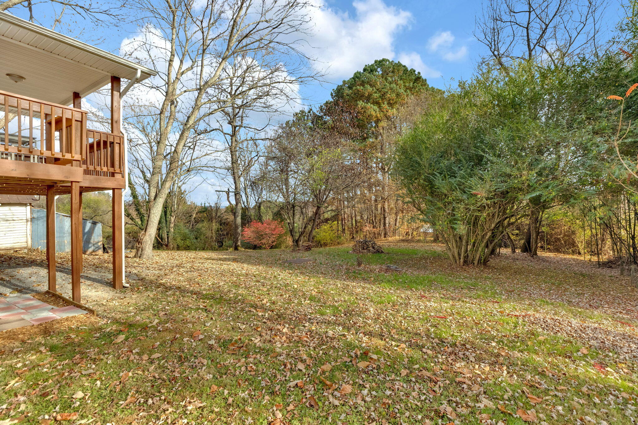 3407 McKinley Road Johnson City, TN 37604 - Photo 30 of 31 4-web-or-mls-217A1110