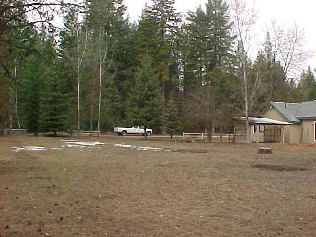 3846 Larch Road Loon Lake, WA 99148 - Photo 7 of 9 Gallery Image 7