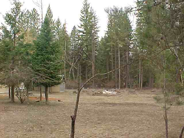 3846 Larch Road Loon Lake, WA 99148 - Photo 8 of 9 Gallery Image 8