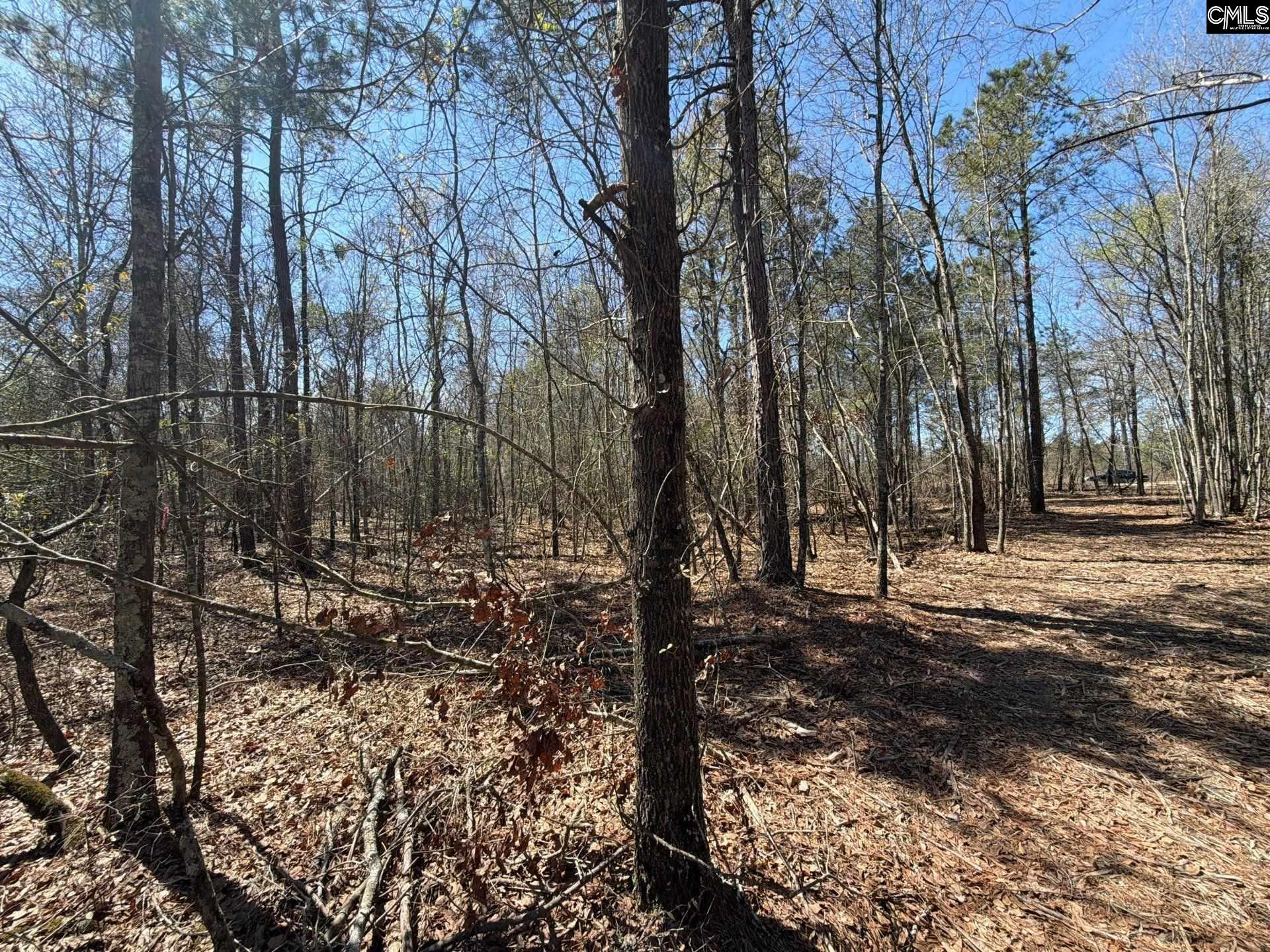 9 Boise Cascade Road, Unit BHL 9 Bethune, SC 29009 - Photo 34 of 44