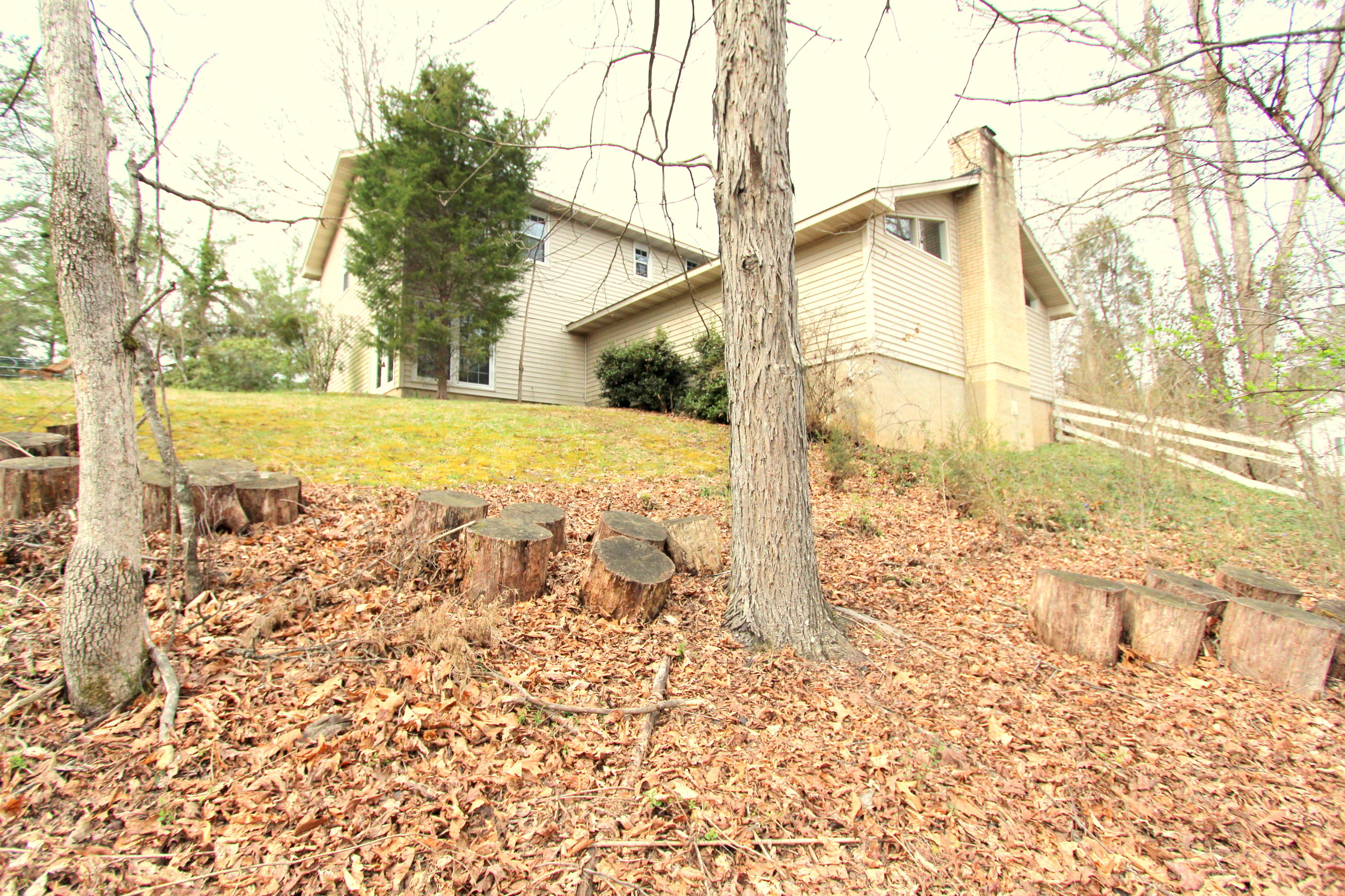 100 Greenbriar Lane Oak Ridge, TN 37830 - Photo 18 of 18 IMG_0441