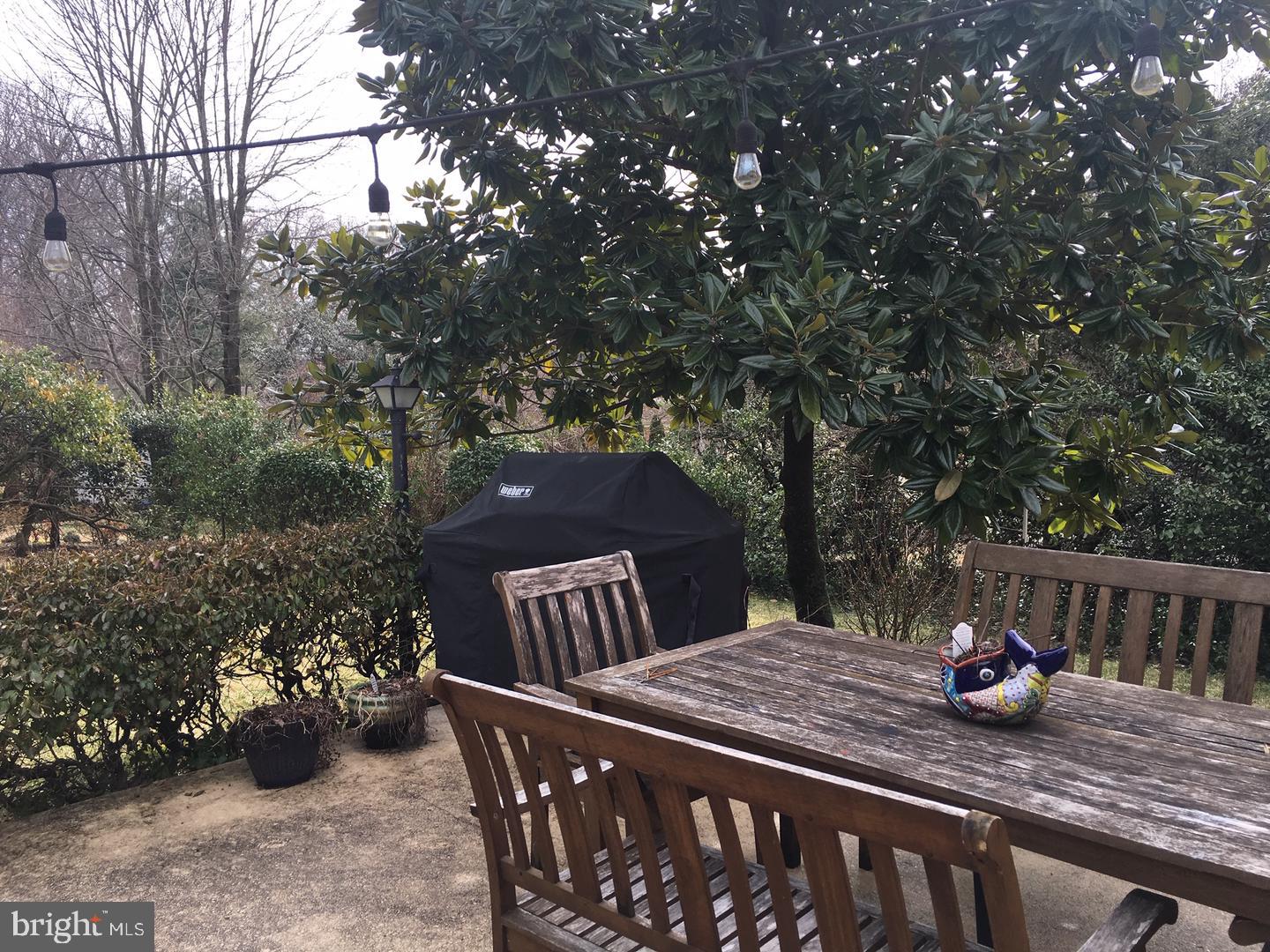 5628 Lamar Road Bethesda, MD 20816 - Photo 23 of 24 Backyard