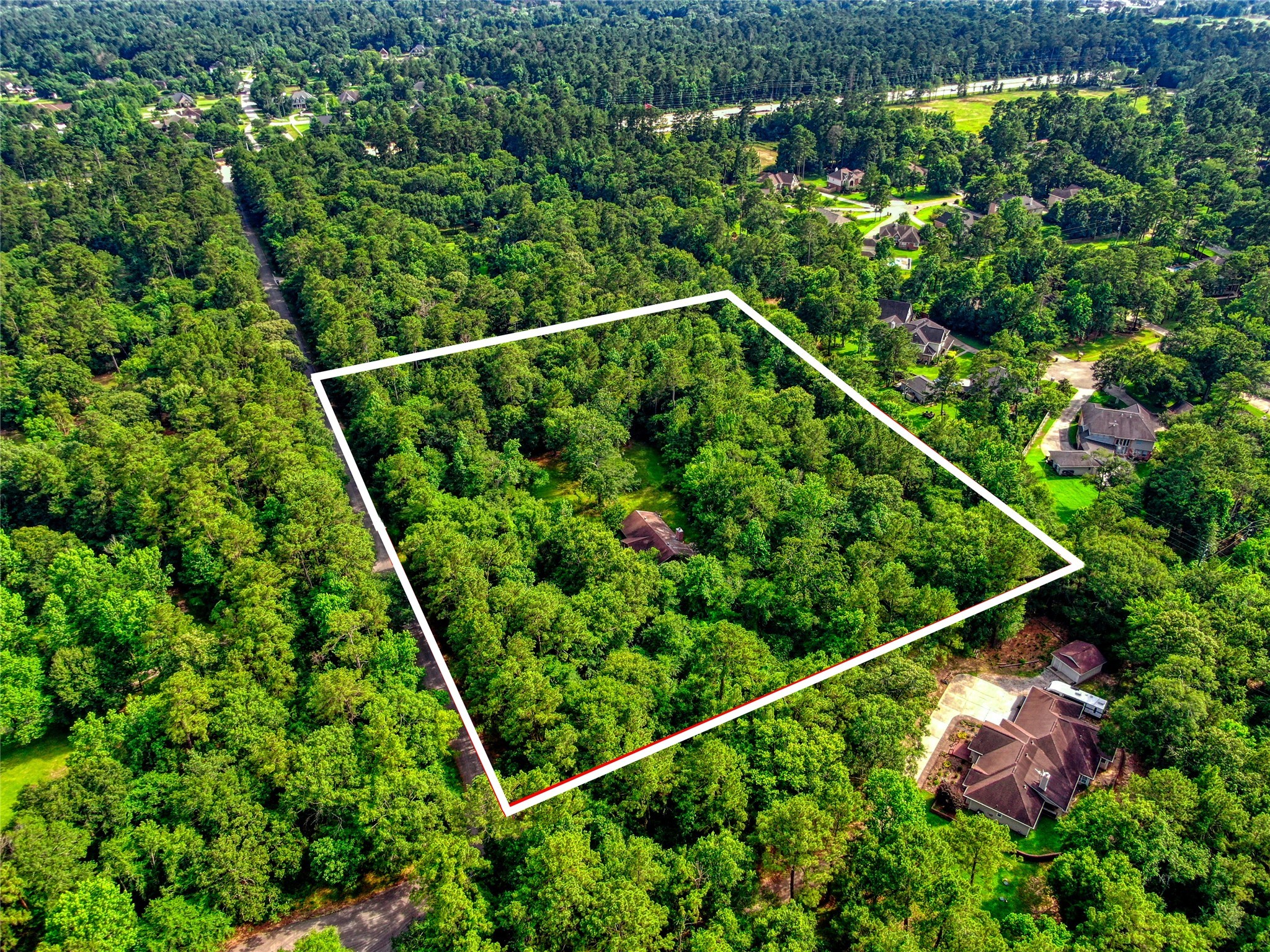 40015 Gable Circle Magnolia, TX 77354 - Photo 2 of 19 a view of a forest