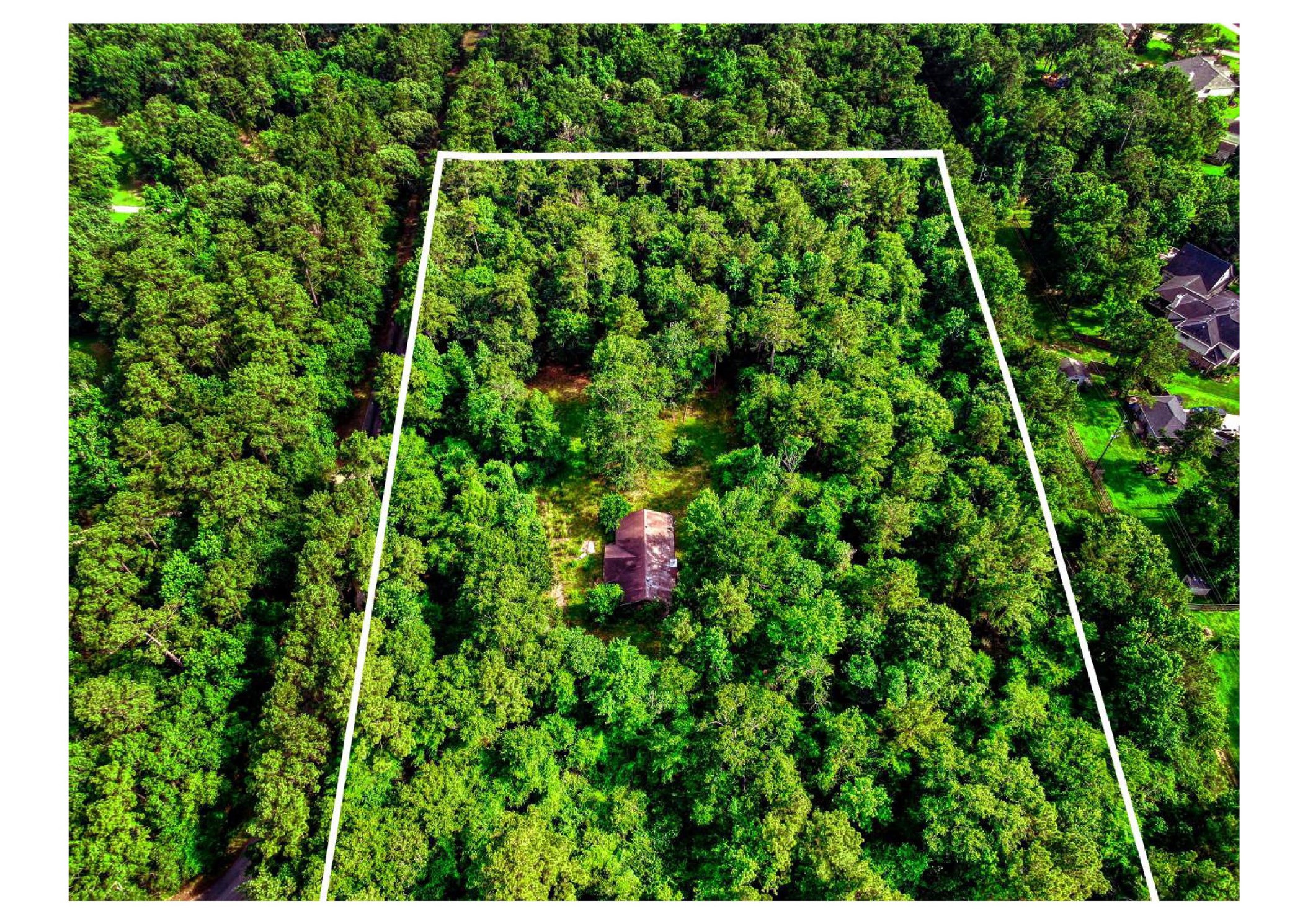 40015 Gable Circle Magnolia, TX 77354 - Photo 4 of 19 a view of a yard with plants