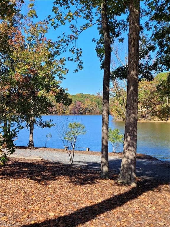 411 Harborgate Drive Denton, NC 27239 - Photo 5 of 18