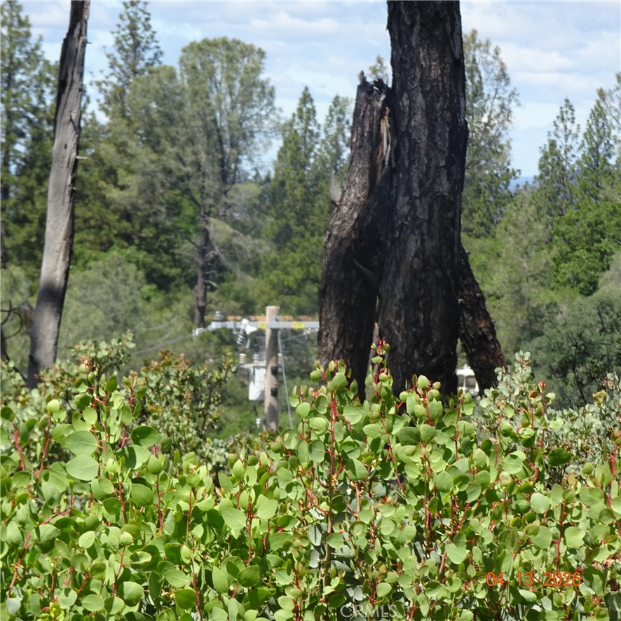 0 Powell Ridge Road Oroville, CA 95966 - Photo 7 of 9
