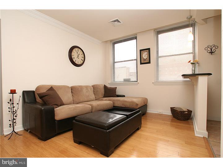 1939 Chestnut Street, Unit 3B Philadelphia, PA 19103 - Photo 6 of 8