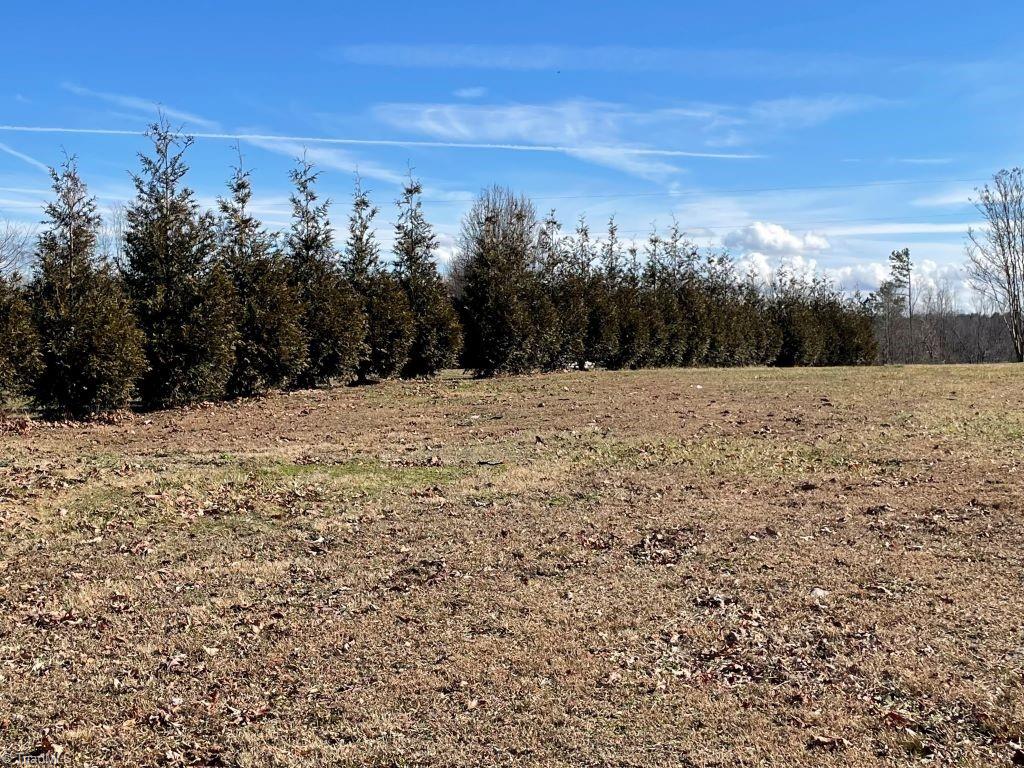 482 Grange Road Elkin, NC 28621 - Photo 29 of 29 Border trees for even more privacy