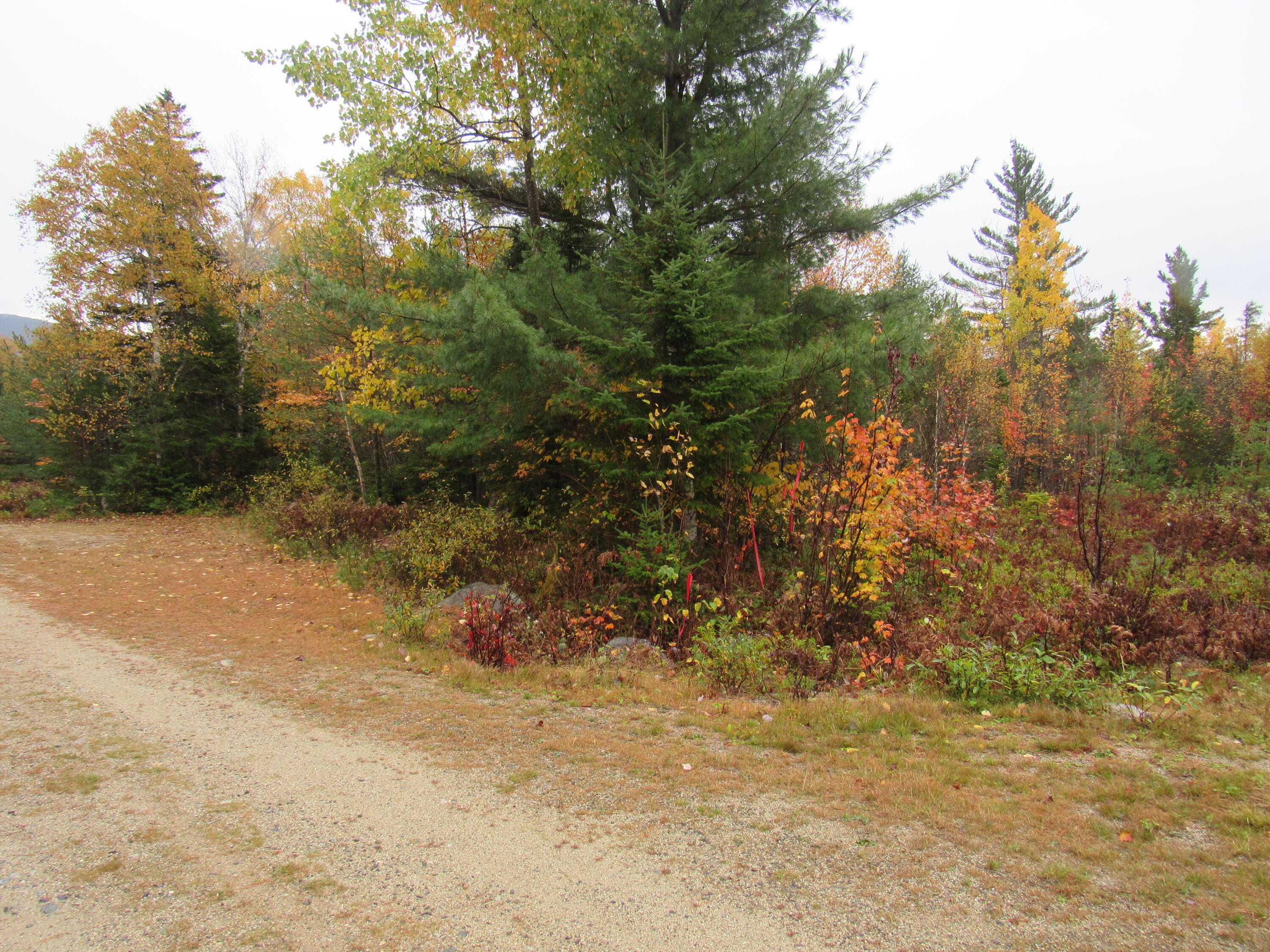 515 Grace Pond Road West Forks, ME 04985 - Photo 35 of 40 IMG_7203