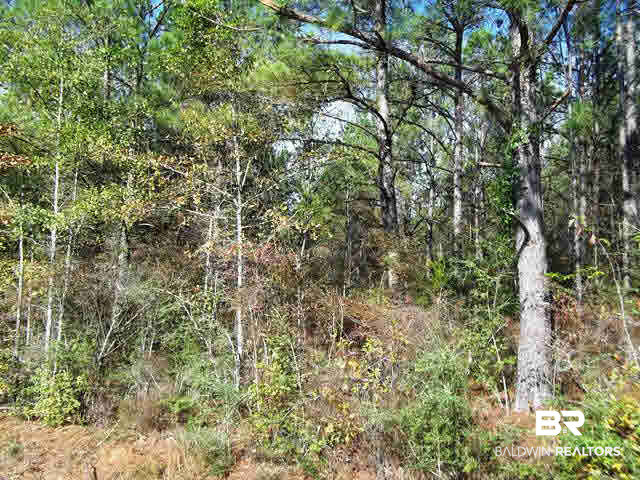 962 West State Line Road Flomaton, AL 36441 - Photo 5 of 16