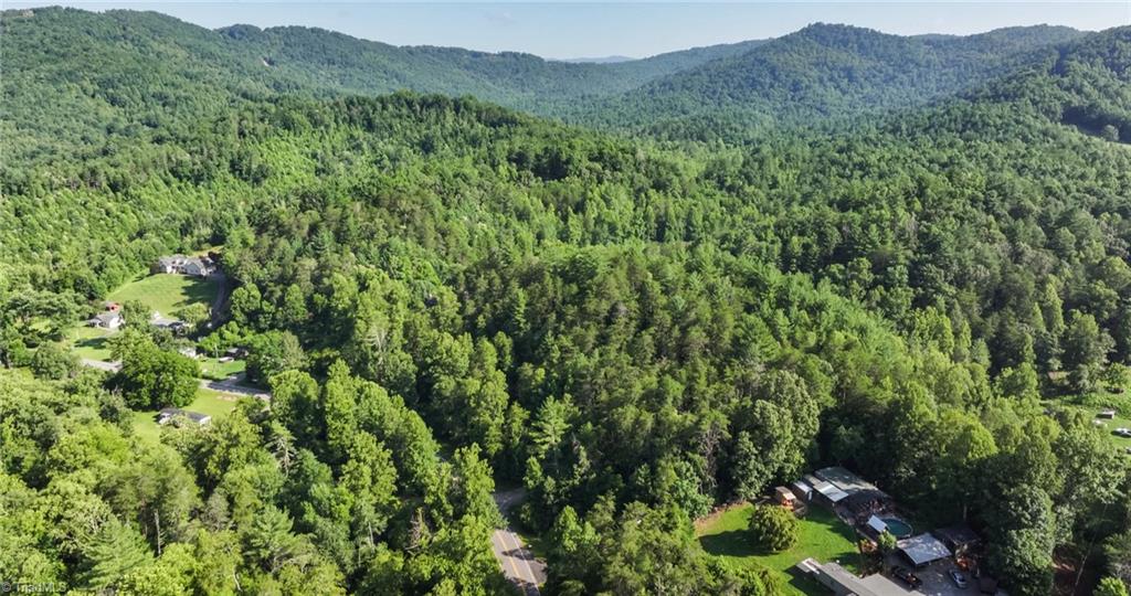 Tbd Boone Trail Purlear, NC 28665 - Photo 41 of 45