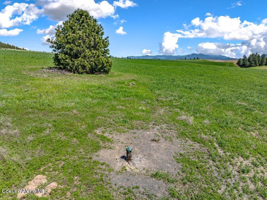 Nka West Rolling Hills Road Worley, ID 83876 - Photo 15 of 55 Well, 100 GPM
