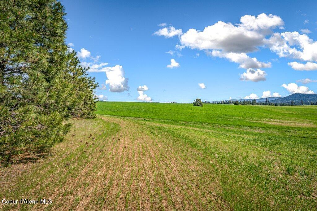Nka West Rolling Hills Road Worley, ID 83876 - Photo 19 of 55 --3.jpg-SMALL