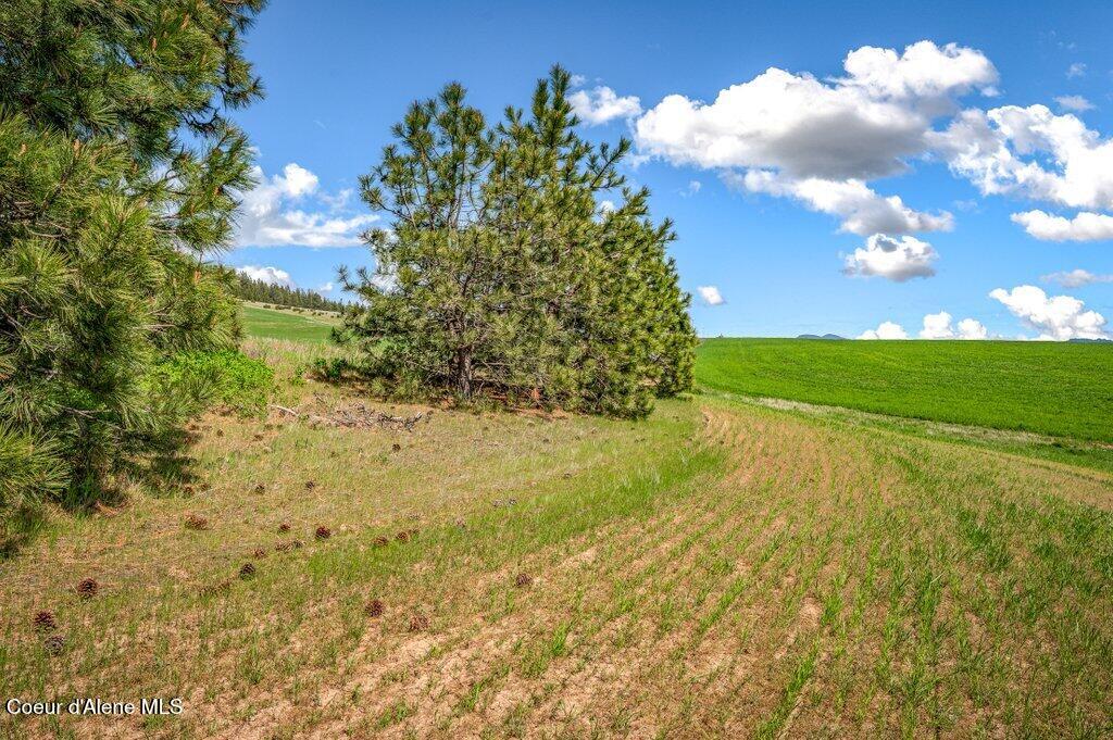Nka West Rolling Hills Road Worley, ID 83876 - Photo 20 of 55 --4.jpg-SMALL