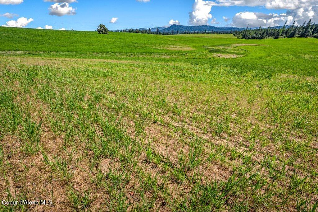 Nka West Rolling Hills Road Worley, ID 83876 - Photo 21 of 55 --5.jpg-SMALL