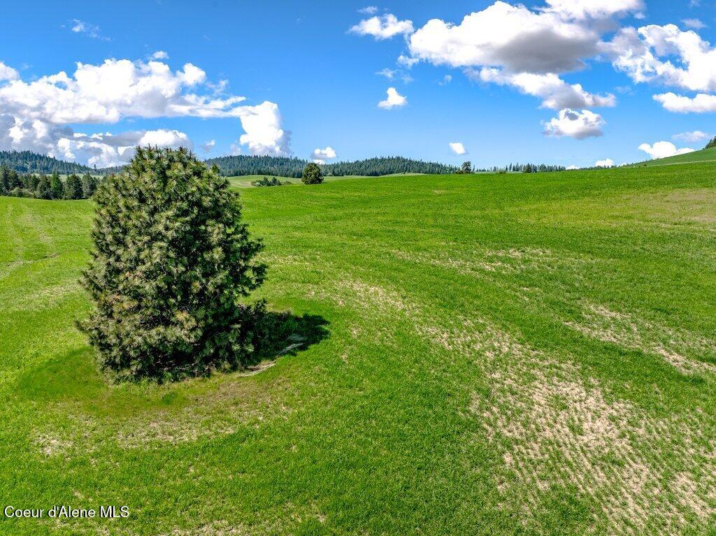 Nka West Rolling Hills Road Worley, ID 83876 - Photo 28 of 55 --14.jpg-SMALL