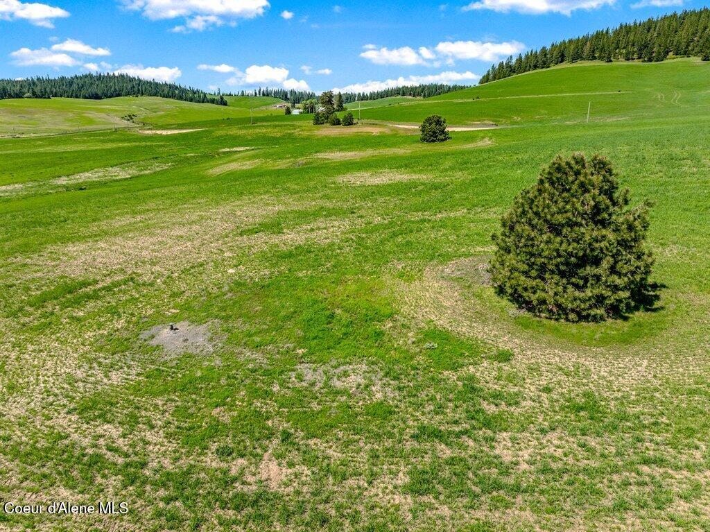 Nka West Rolling Hills Road Worley, ID 83876 - Photo 29 of 55 --15.jpg-SMALL