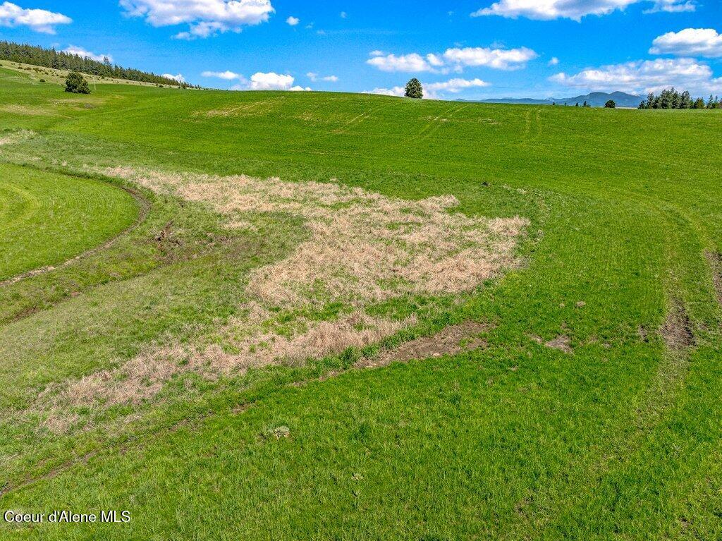 Nka West Rolling Hills Road Worley, ID 83876 - Photo 30 of 55 --20.jpg-SMALL