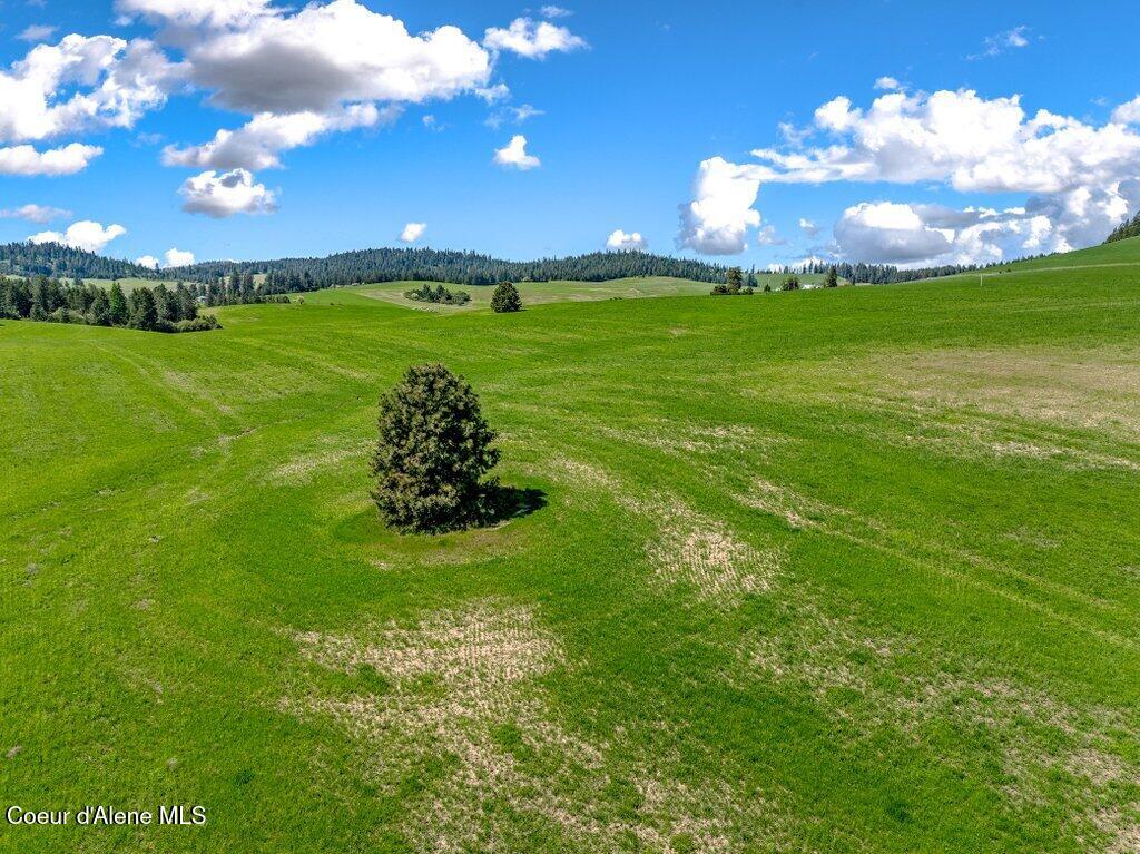 Nka West Rolling Hills Road Worley, ID 83876 - Photo 42 of 55 Aerial