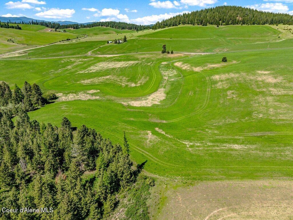 Nka West Rolling Hills Road Worley, ID 83876 - Photo 47 of 55 Touching Stimson Lumber Company