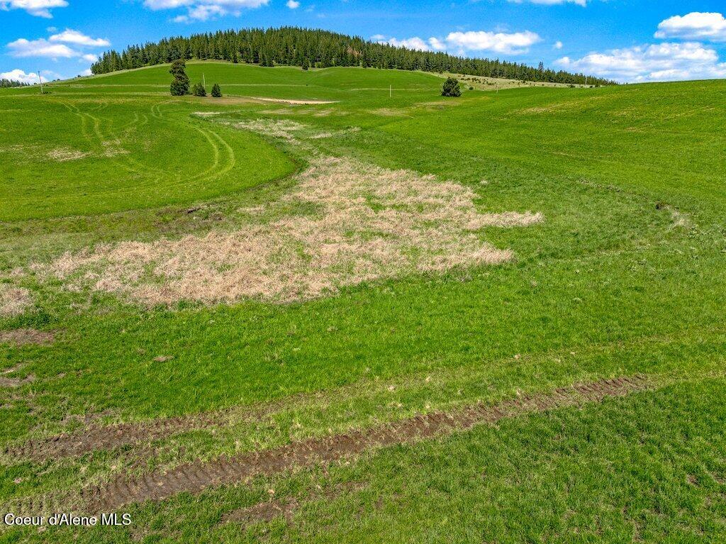 Nka West Rolling Hills Road Worley, ID 83876 - Photo 49 of 55 --52.jpg-SMALL