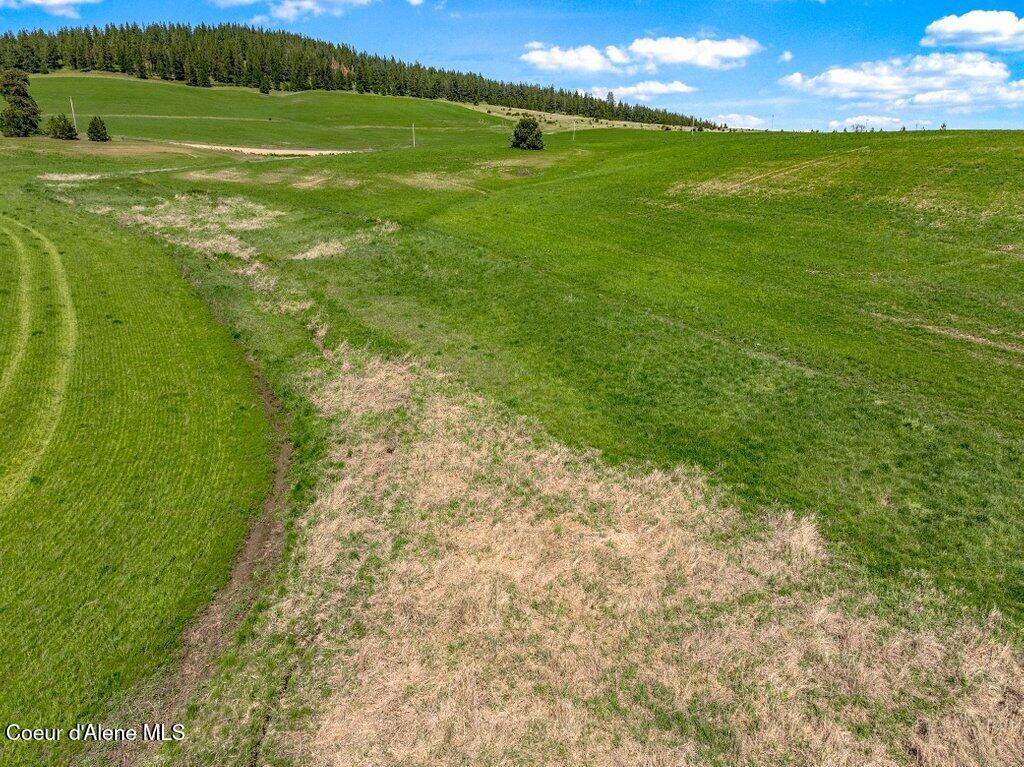 Nka West Rolling Hills Road Worley, ID 83876 - Photo 50 of 55 --53.jpg-SMALL