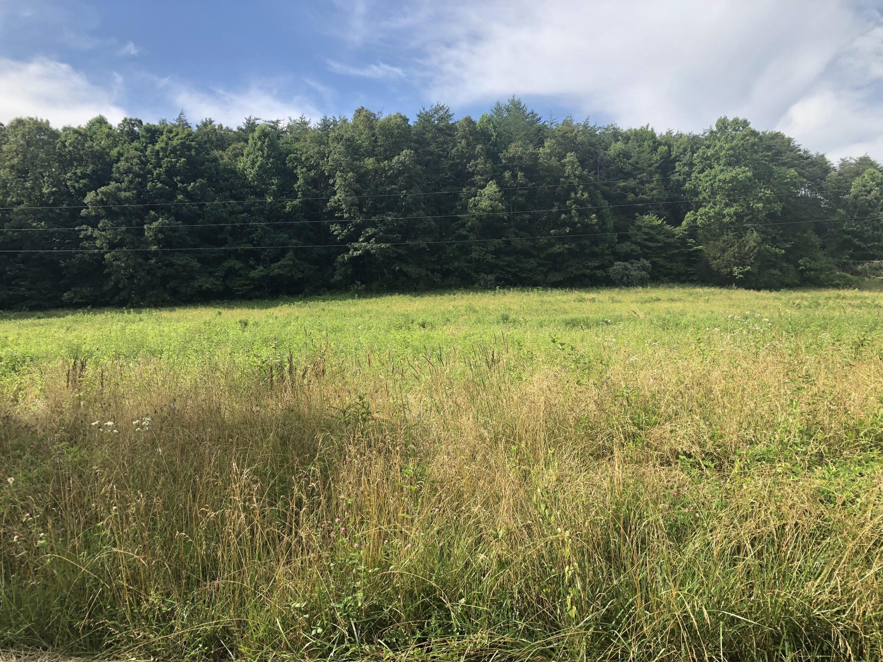 0 Cave Branch Road Campton, KY 41301 - Photo 1 of 10 C6D5E345-BF8A-4E24-AC02-DBA365F71ACC