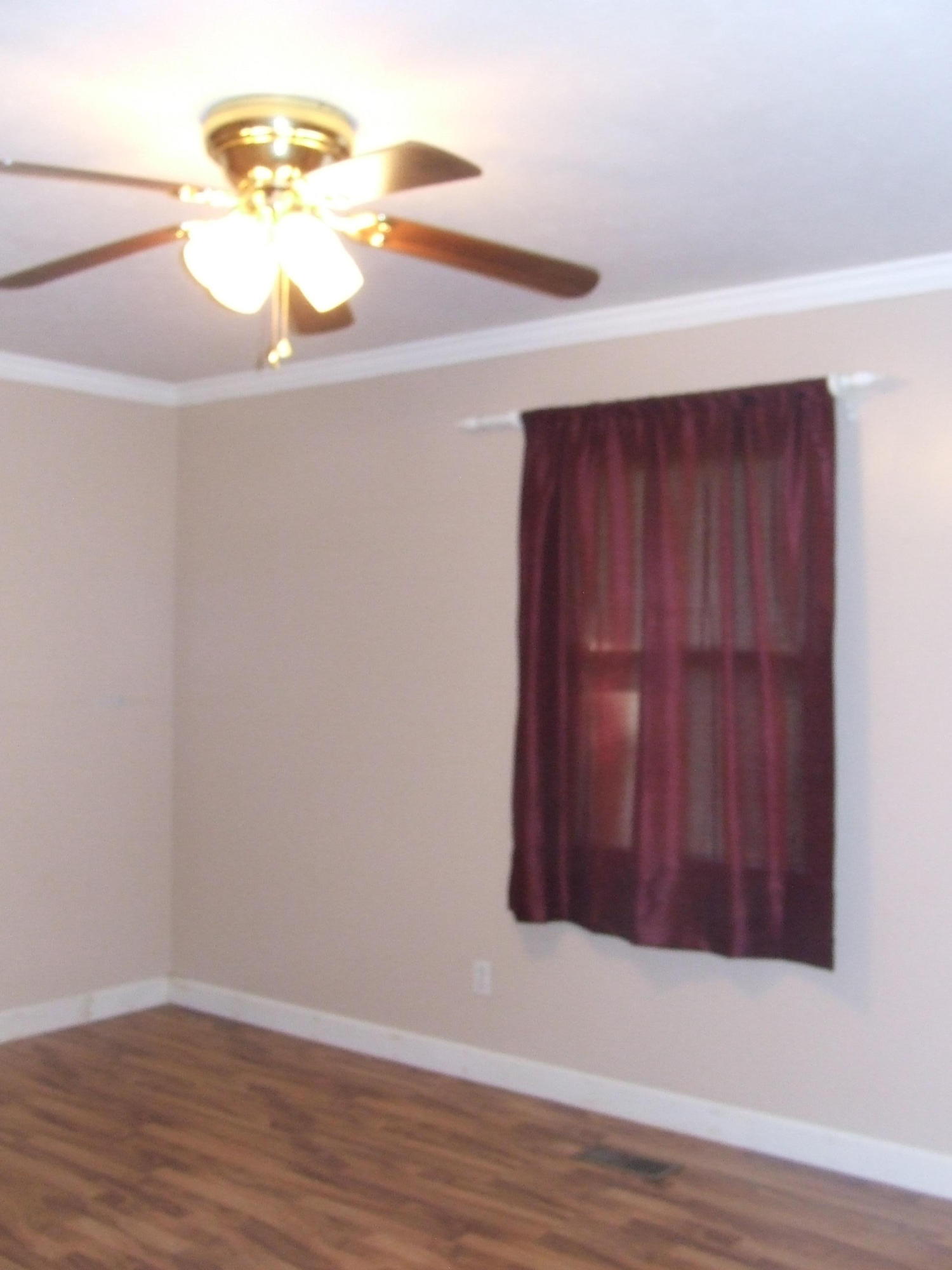 4153 Wolf Creek Road Spring City, TN 37381 - Photo 11 of 25 DSCF7146