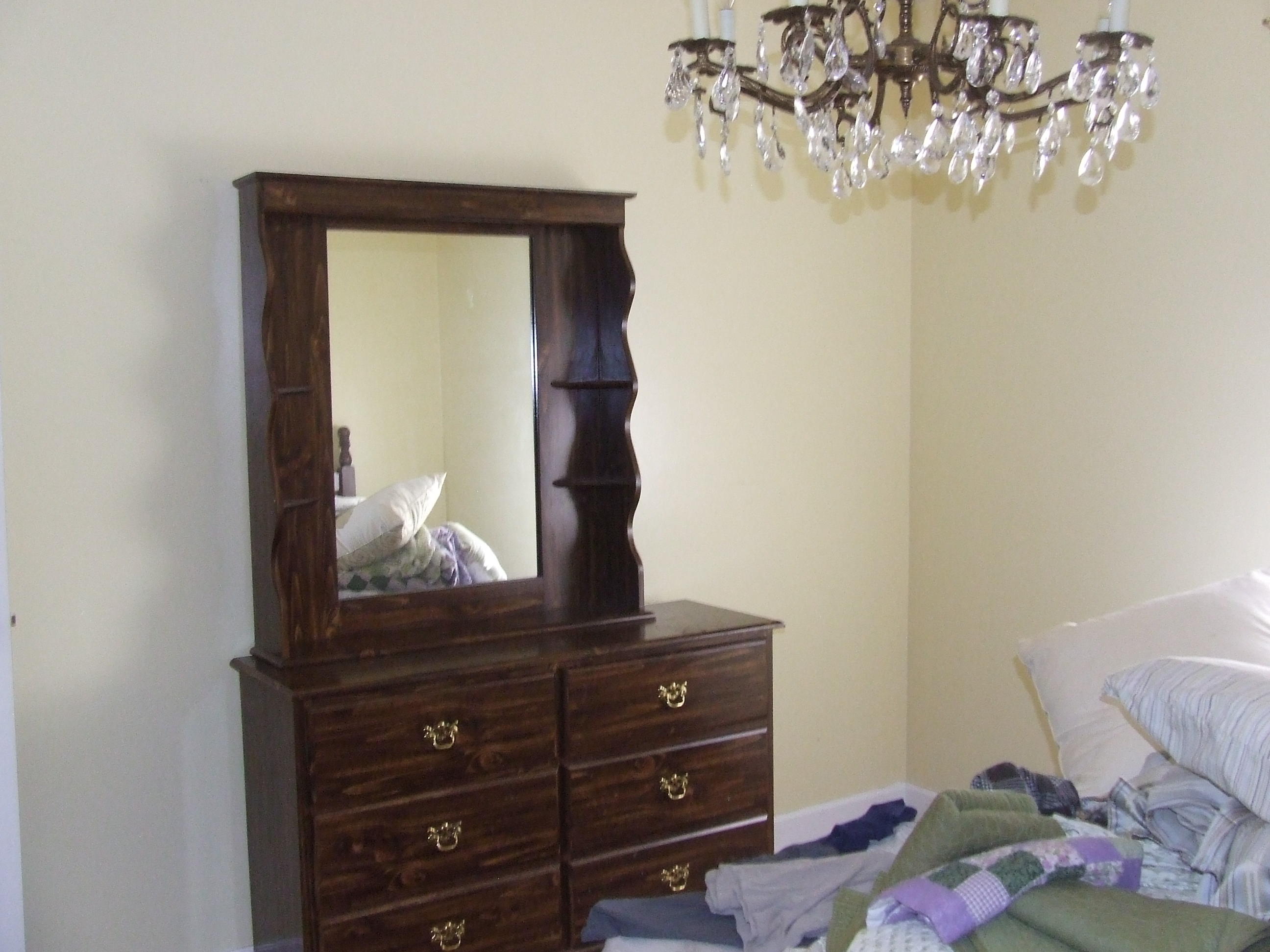 4153 Wolf Creek Road Spring City, TN 37381 - Photo 19 of 25 DSCF7137