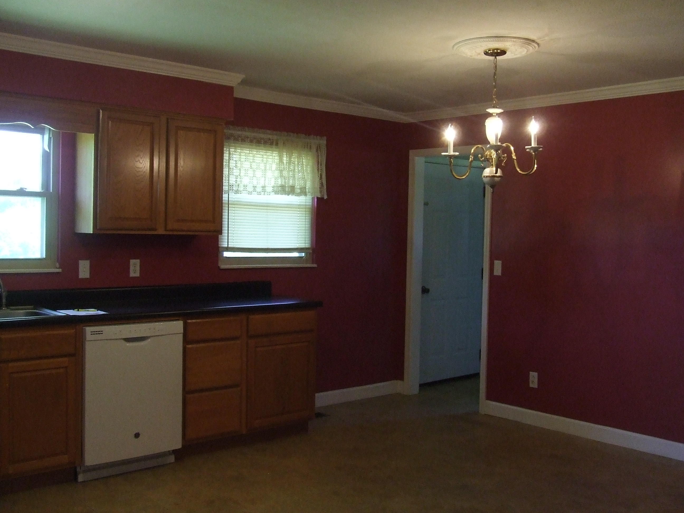 4153 Wolf Creek Road Spring City, TN 37381 - Photo 3 of 25 DSCF7116