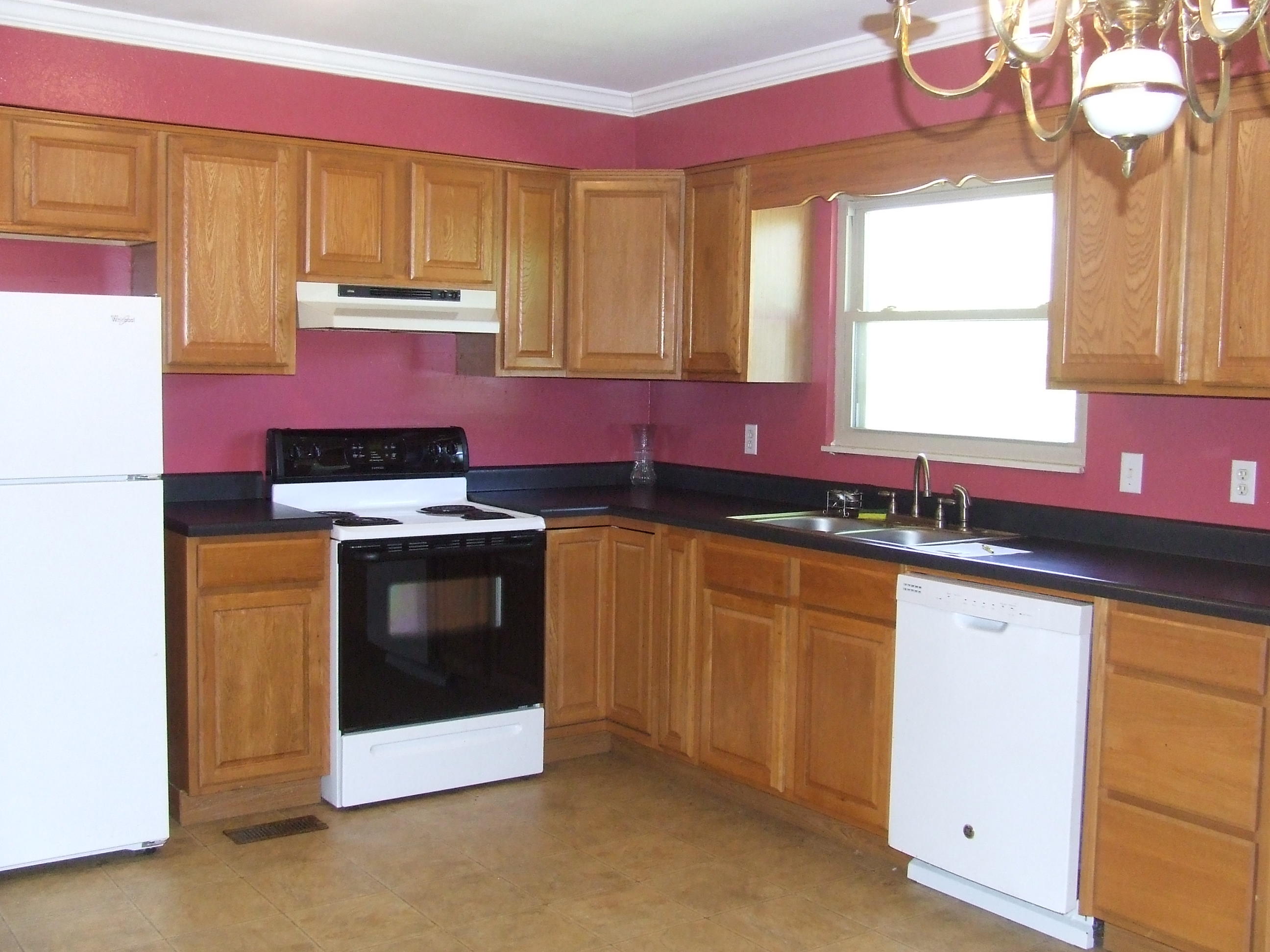 4153 Wolf Creek Road Spring City, TN 37381 - Photo 4 of 25 DSCF7117