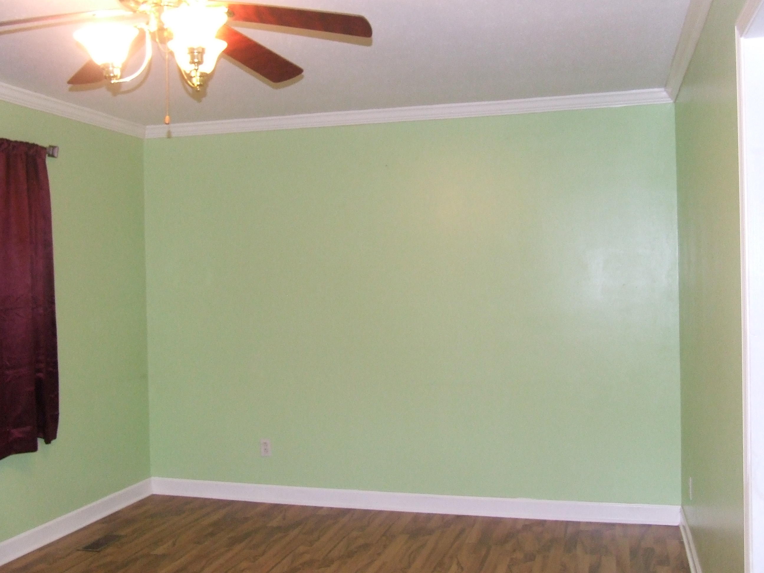 4153 Wolf Creek Road Spring City, TN 37381 - Photo 5 of 25 DSCF7131