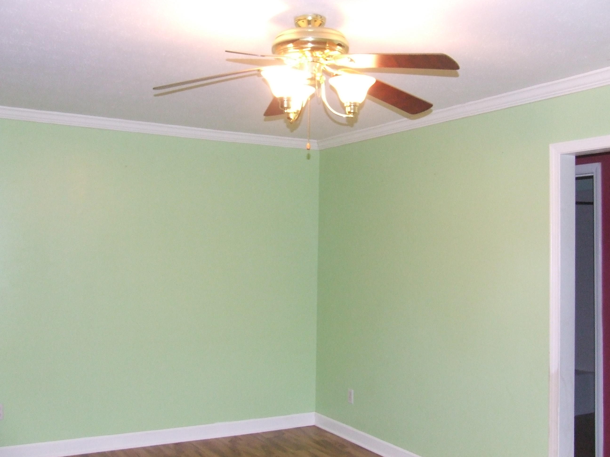 4153 Wolf Creek Road Spring City, TN 37381 - Photo 6 of 25 DSCF7133